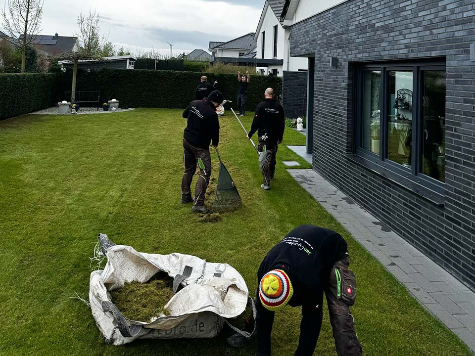 Gartenfläche mit Hecke und Rasenpflege