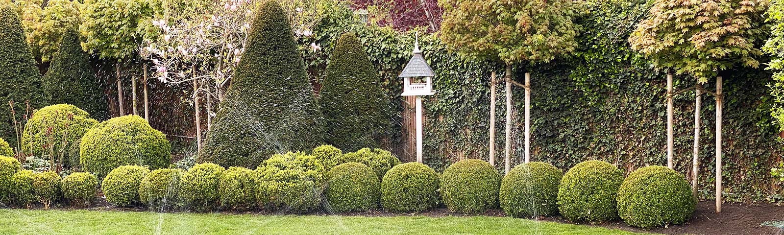 Formaler Privatgarten mit Kugelgehölzen und Sichtschutz
