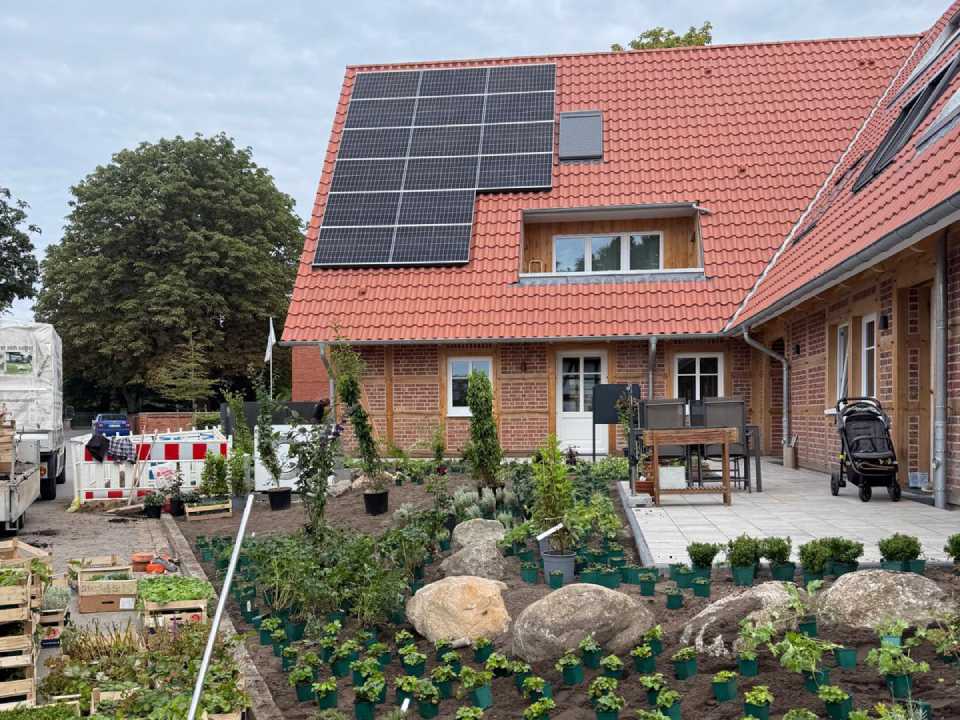 Gepflasterter Gartenweg mit Bepflanzung