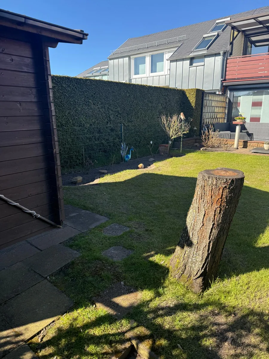 Garten vor der Neugestaltung mit Rasen, Gartenhaus, Hecke und Baumstumpf