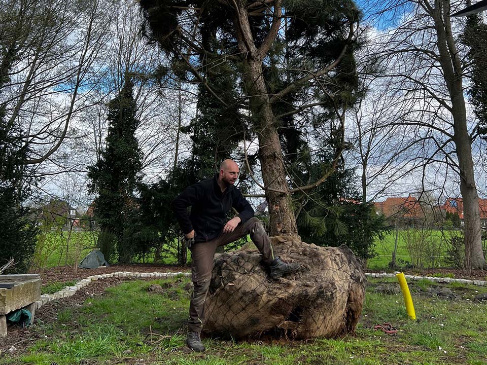Arbeiten am Baum mit Technik