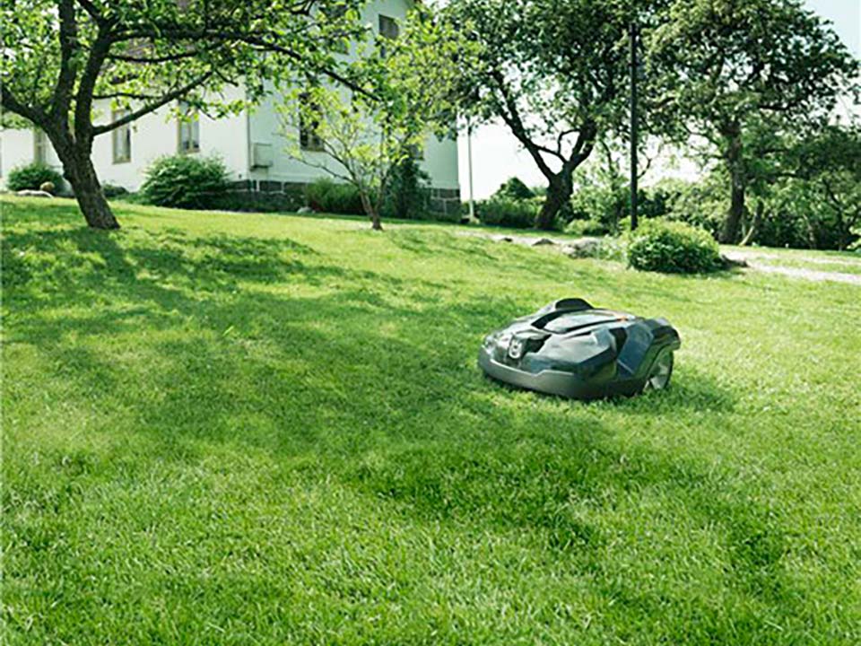 Mähroboter auf einer grünen Rasenfläche